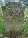 image of grave number 547277